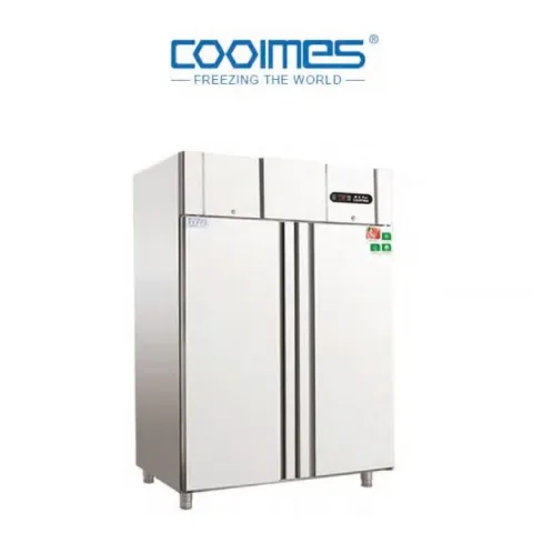 Armoire négative 2 portes 1220 L – coolmes