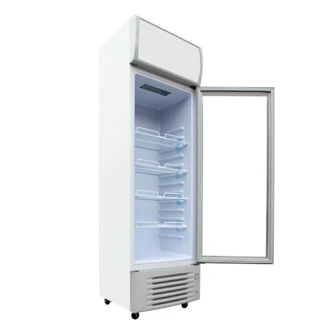 armoire réfrigérée 1 porte vitrée d’exposition positive 300l