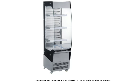 VITRINE MURALE 220 L AVEC ROULETTE DIM 674x494x1742 RTS-220L