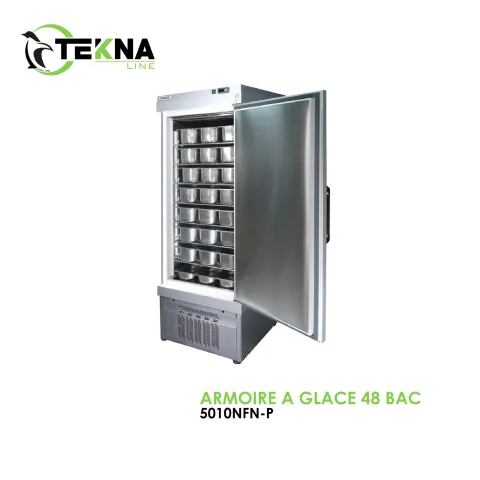 ARMOIRE A GLACE 48 BAC 5010NFN-P