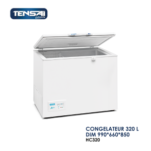 CONGELATEUR 320 L DIM 990x660x850 HC320 300x300