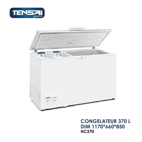 CONGELATEUR 370 L DIM 1170x660x850 HC370
