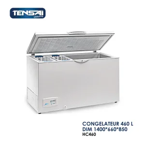 CONGELATEUR 460 L DIM 1400x660x850 HC460 300x300