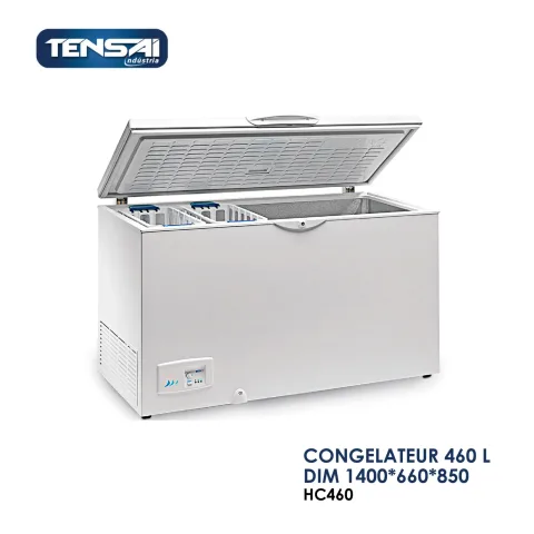 CONGELATEUR 460 L DIM 1400x660x850 HC460