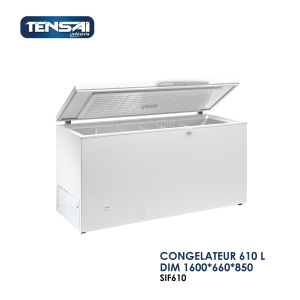 CONGELATEUR 610 L DIM 1600x660x850 SIF610 300x300