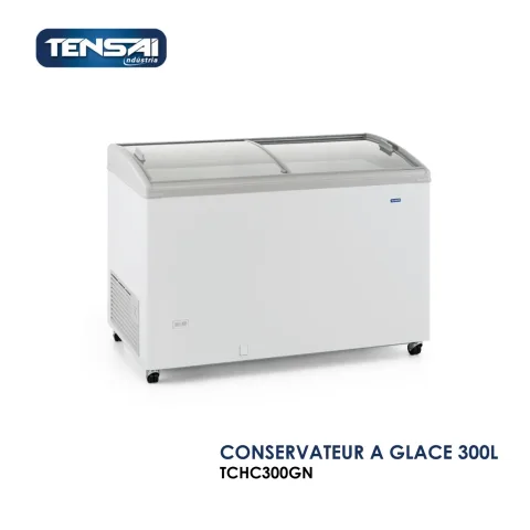 CONSERVATEUR A GLACE 300L TCHC300GN